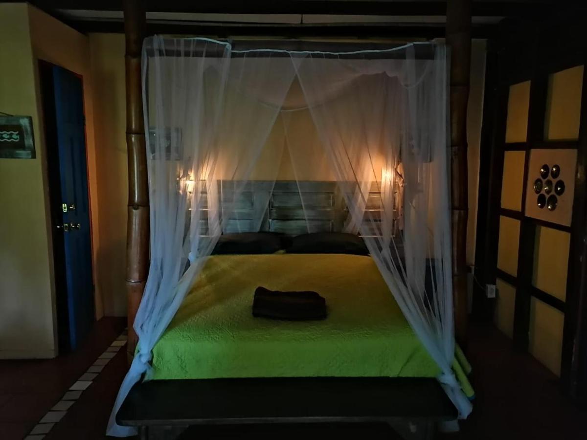 Mosana Reef Garden B&B Bocas Town Exterior photo