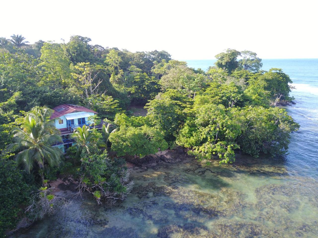 Mosana Reef Garden B&B Bocas Town Exterior photo