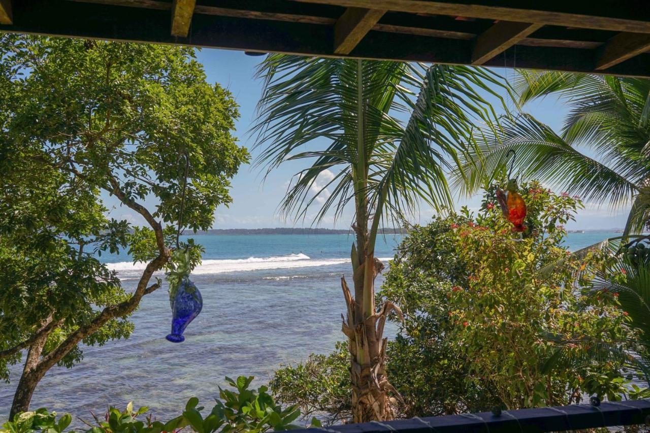 Mosana Reef Garden B&B Bocas Town Exterior photo
