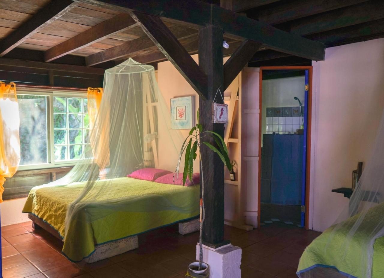 Mosana Reef Garden B&B Bocas Town Exterior photo